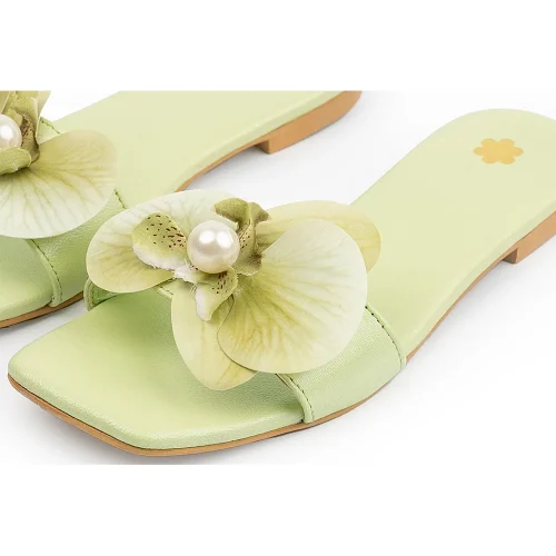 LIMA LIME - Image 3