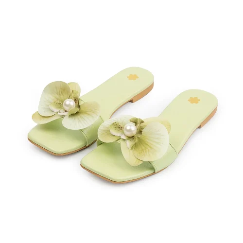 LIMA LIME - Image 2