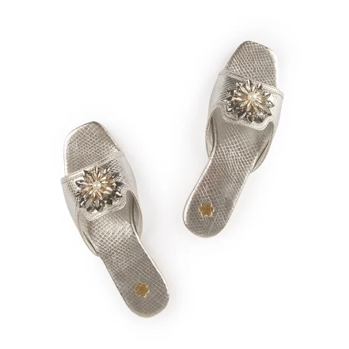 CARI SILVER